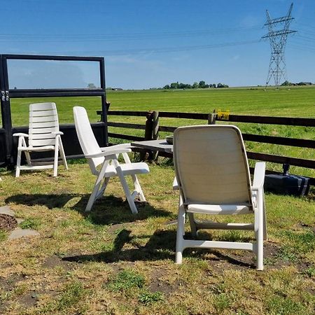 City Farmers Lodge, A Guesthouse With A Skyline View In Rural Amsterdam Exteriör bild