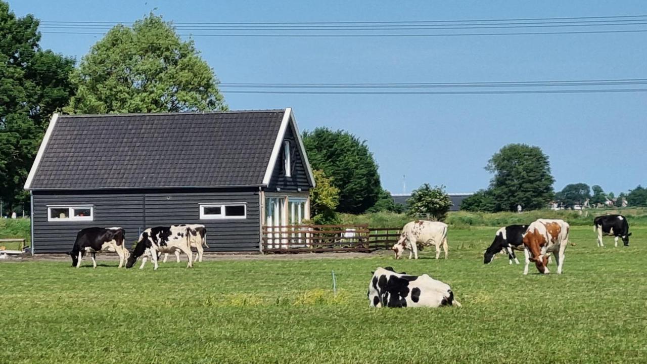 City Farmers Lodge, A Guesthouse With A Skyline View In Rural Amsterdam Exteriör bild