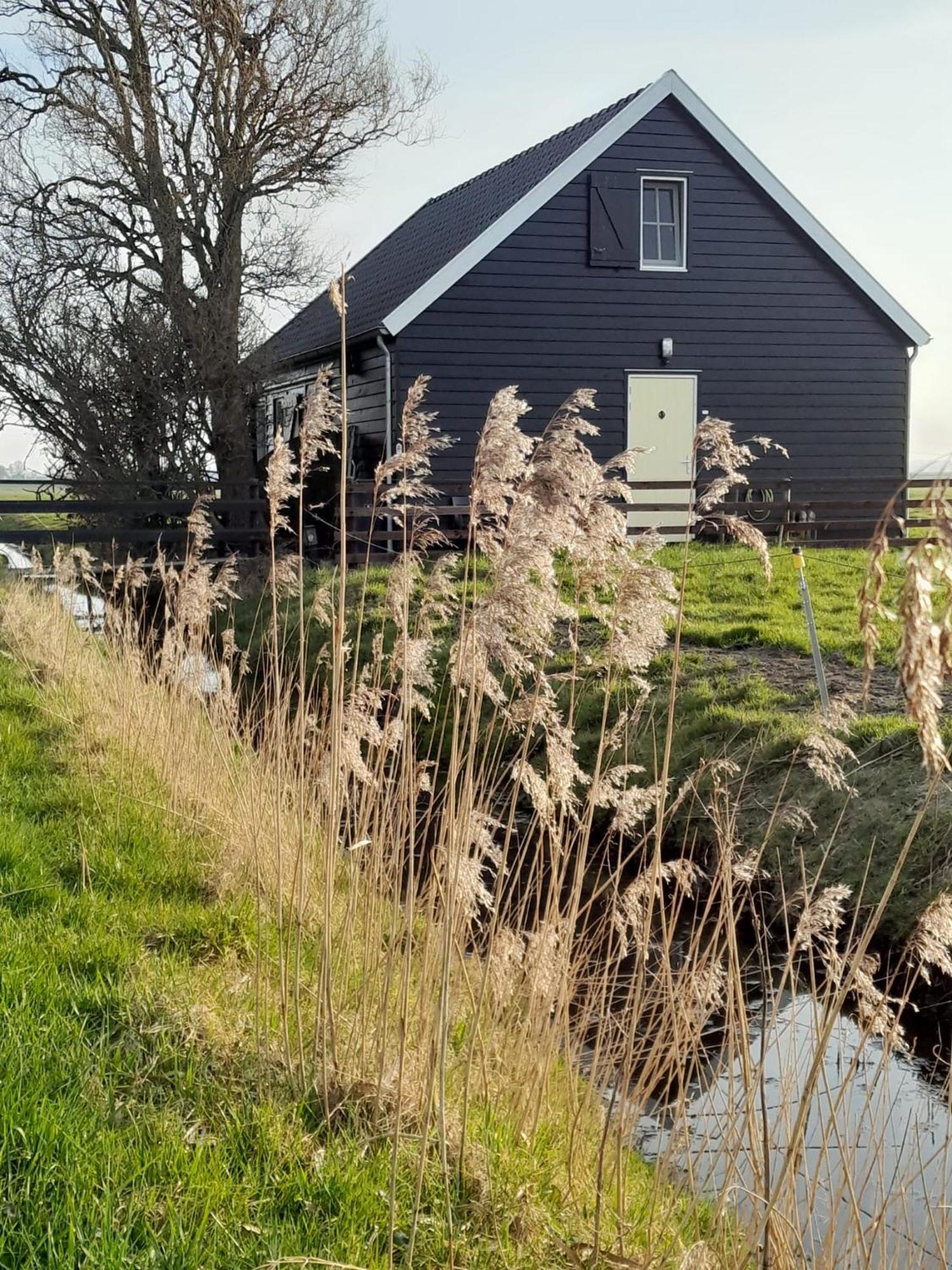 City Farmers Lodge, A Guesthouse With A Skyline View In Rural Amsterdam Exteriör bild